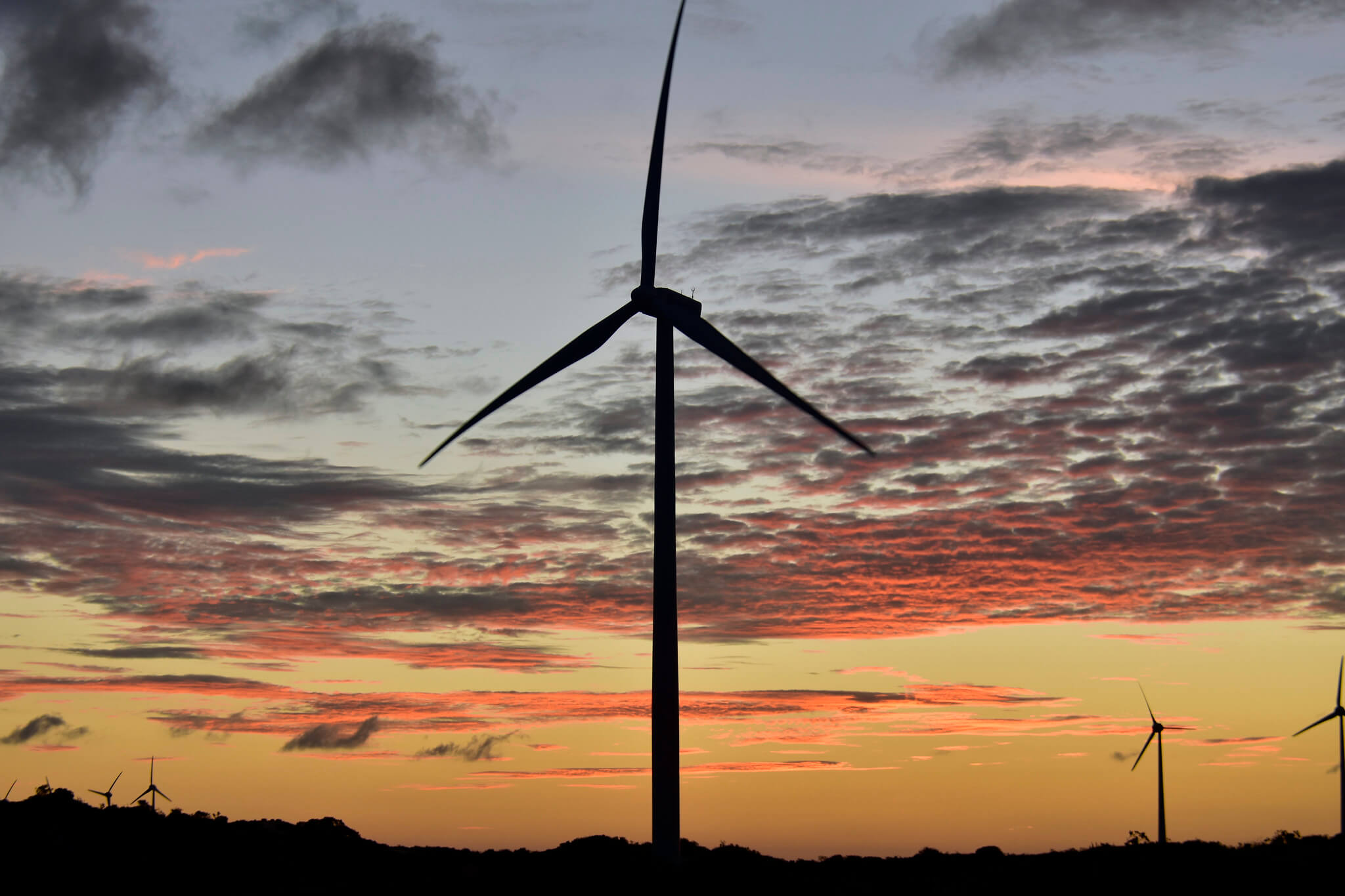 Brasil está na liderança da transição energética mundial. | Crédito:  Divulgação/Neoenergia.